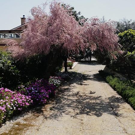Casa Noemi Apartment Sperlonga Ngoại thất bức ảnh